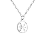 Zodiac necklace: Pisces - Zodiac, Silver
