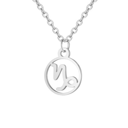 Zodiac necklace: Capricorn - Zodiac, Silver