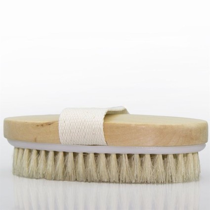 Ionic Dry Brush for the body
