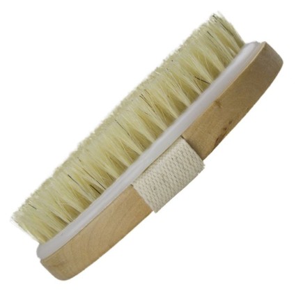 Ionic Dry Brush for the body