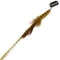 Feather clip on Extensions Tiger Stripes